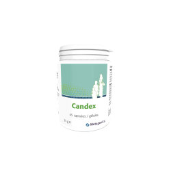 Candex 45 C °